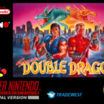 Super Double Dragon rom