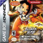 Shaman King: Legacy of the Spirits, Soaring Hawk [EUA]