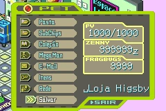 Mega Man Battle Network 5 (PT-BR)